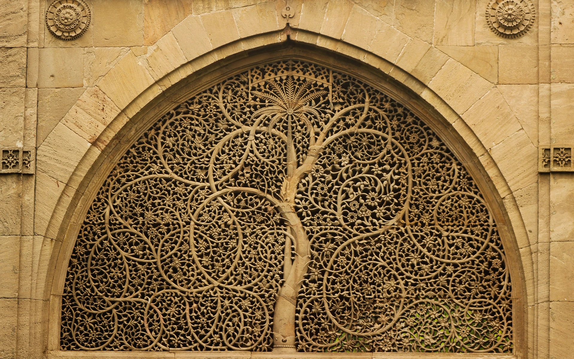 Ahmedabad view 05